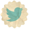  photo twitter-icon.png