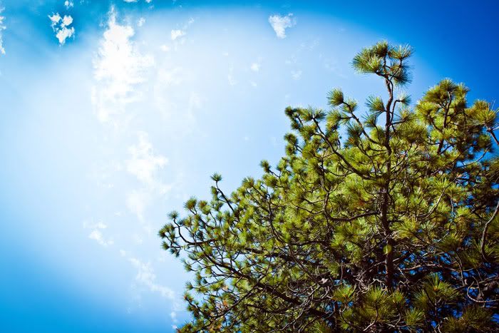 Tahoe. Photobucket