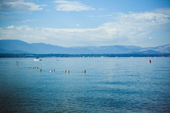 Tahoe. Photobucket