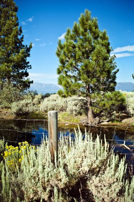 Tahoe. Photobucket