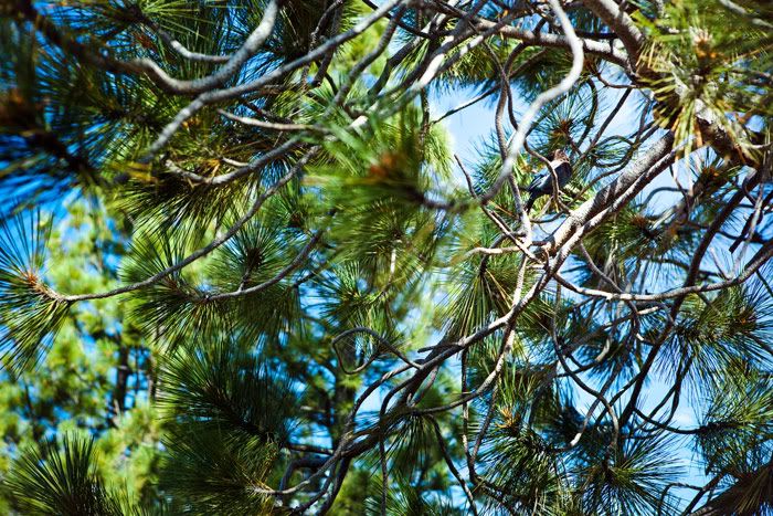Tahoe. Photobucket
