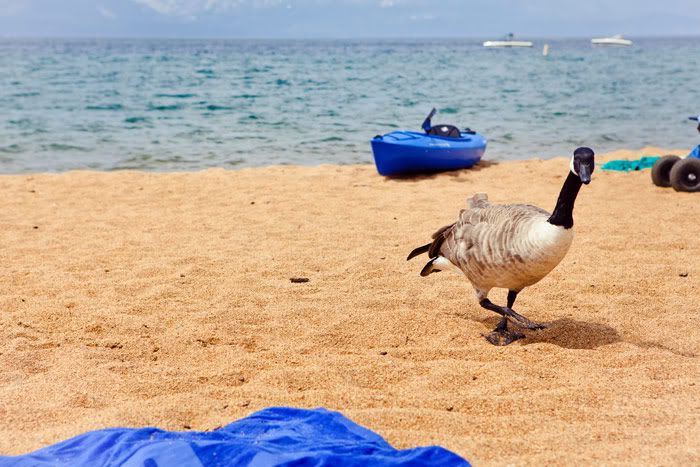 Tahoe. Photobucket