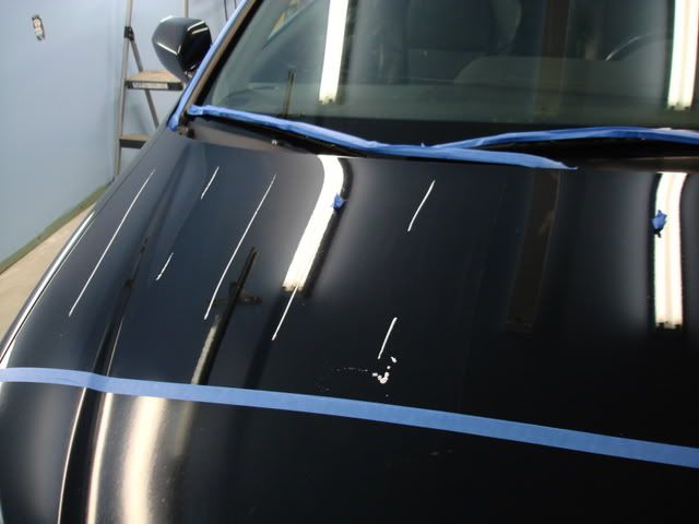 DSC04435.jpg