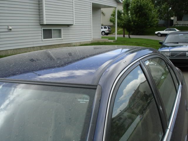 DSC02200.jpg