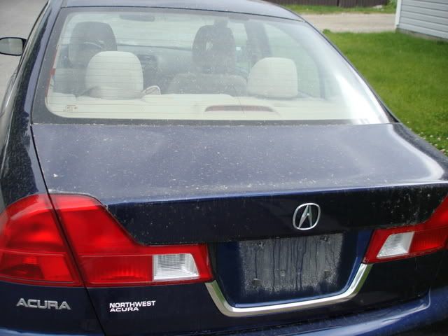 DSC02201.jpg