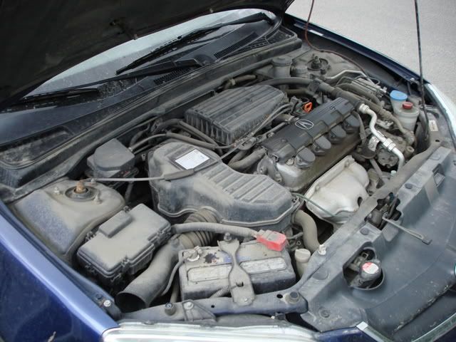 DSC02212.jpg