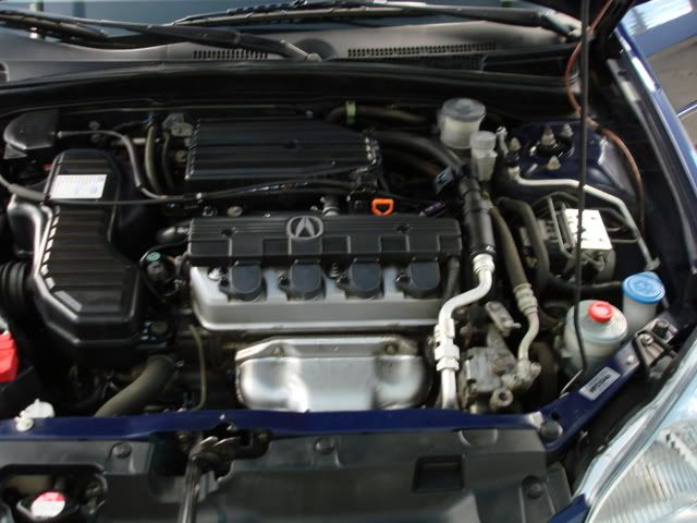 DSC02250.jpg