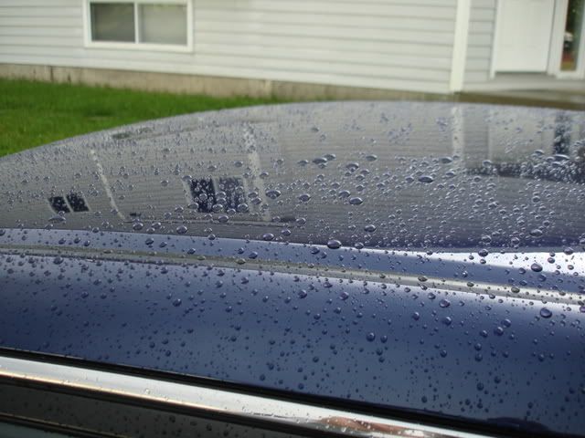 DSC02271.jpg