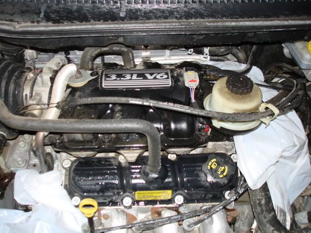DSC02117.jpg