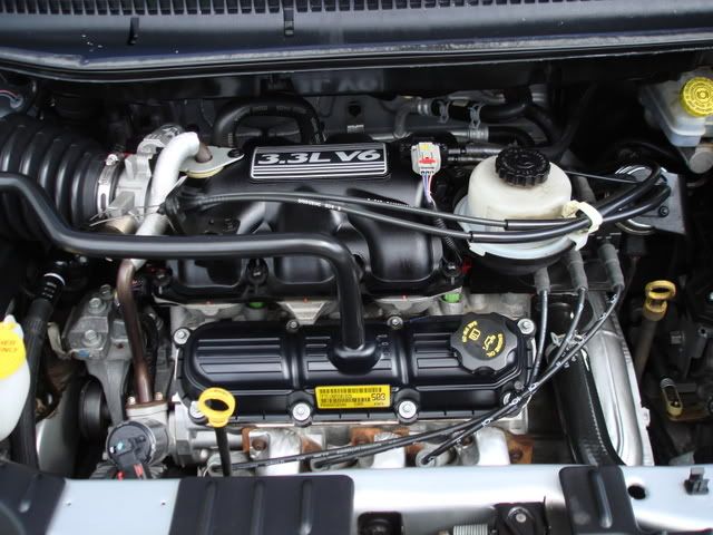 DSC02174.jpg