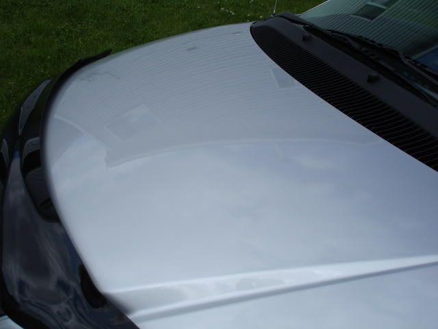 DSC02178.jpg