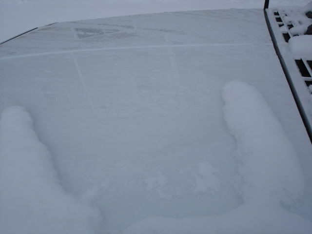 DSC01146.jpg