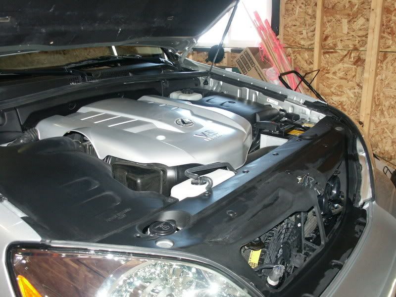 PICT2356.jpg