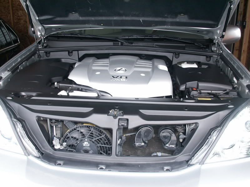 PICT2377.jpg