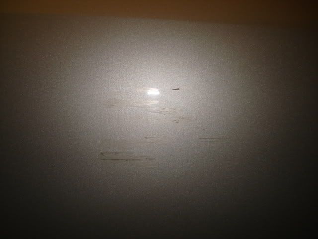 DSC01289.jpg
