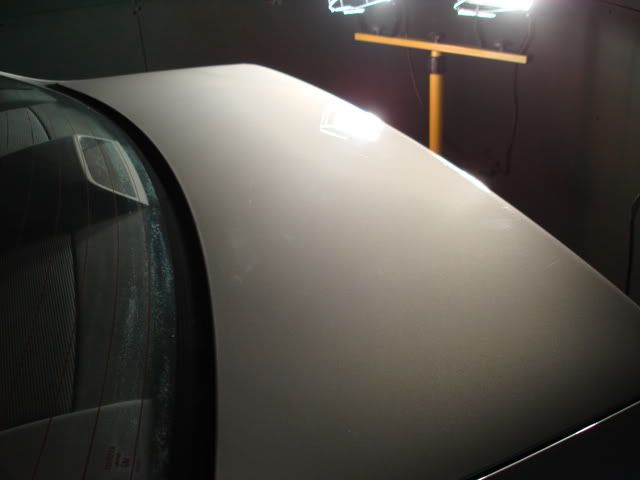 DSC01296.jpg
