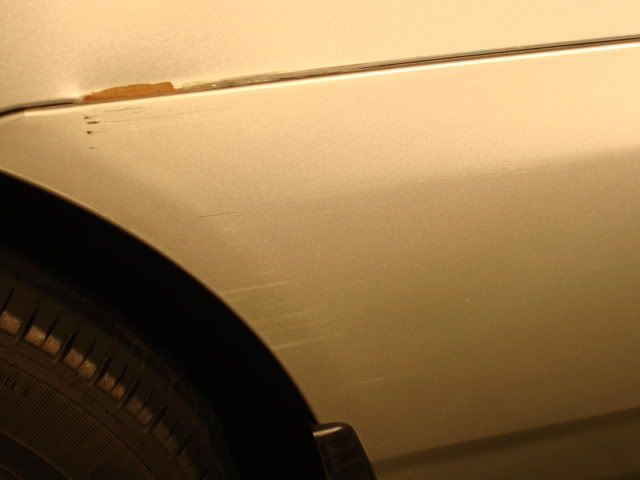 DSC01303.jpg