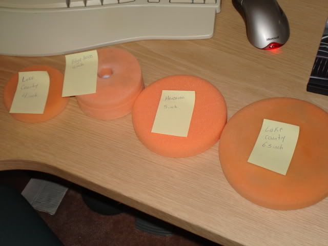 DSC01755.jpg