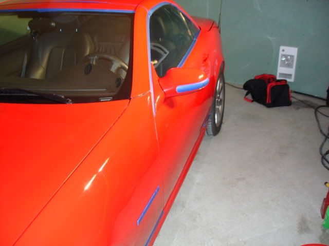 DSC01353.jpg