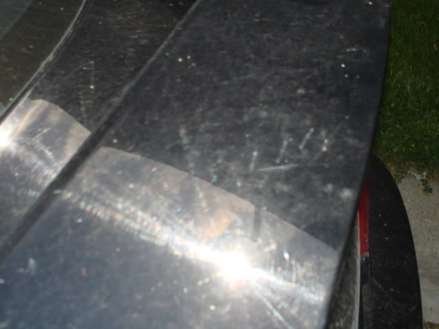 DSC01948.jpg