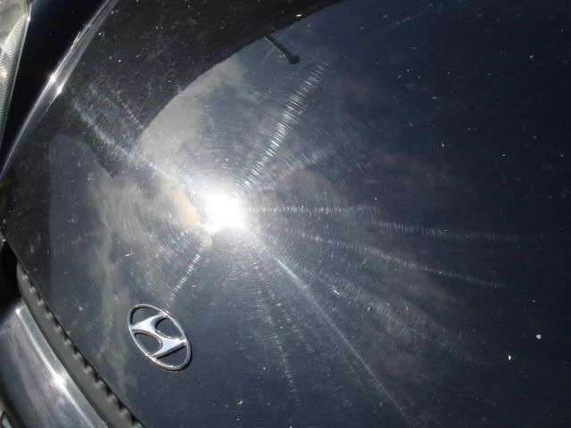 DSC01949.jpg