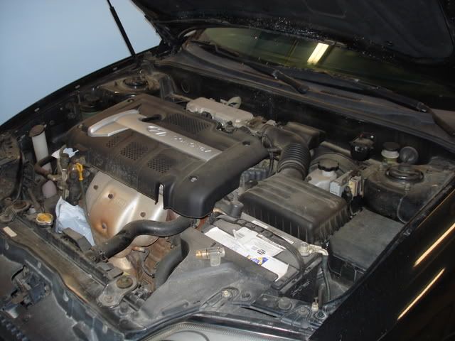 DSC01967.jpg