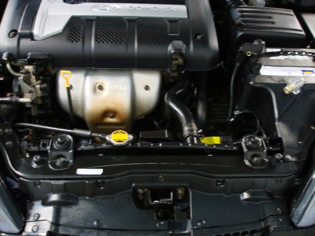 DSC01975.jpg