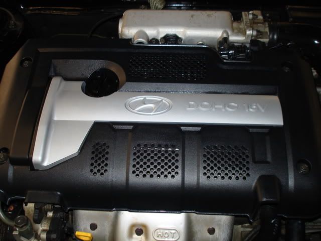 DSC01984.jpg