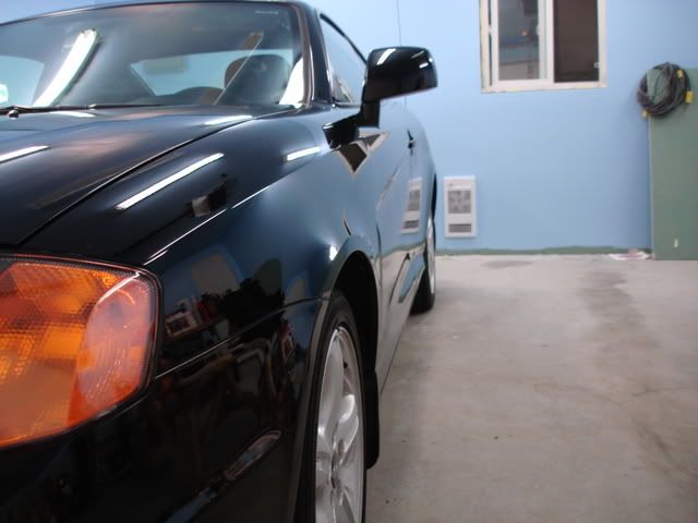 DSC02042.jpg