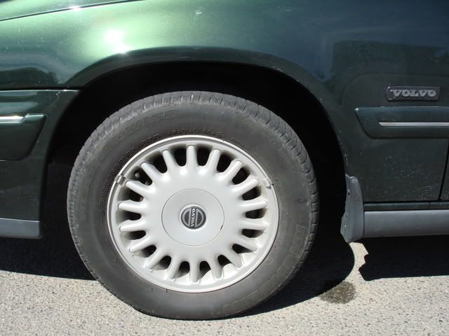 DSC03321.jpg