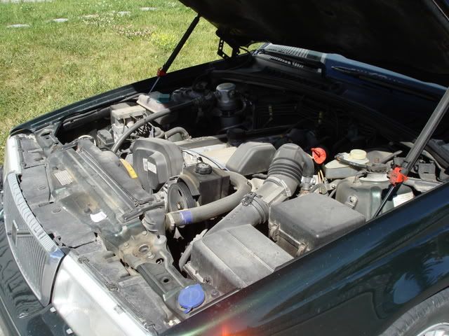 DSC03335.jpg