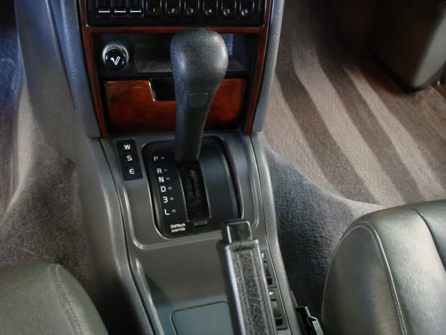 DSC03355.jpg