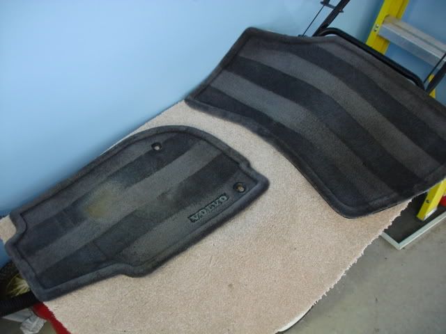 DSC03361.jpg
