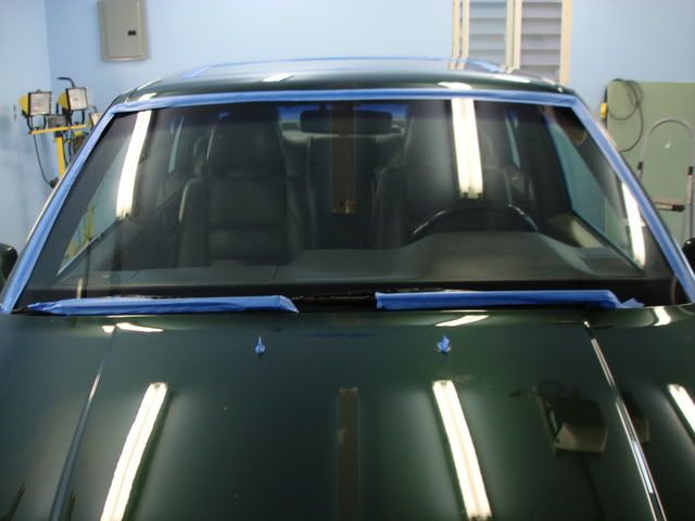 DSC03364.jpg