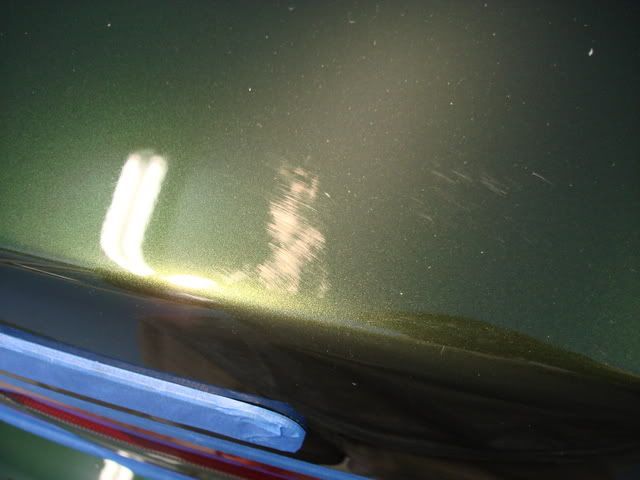 DSC03371.jpg