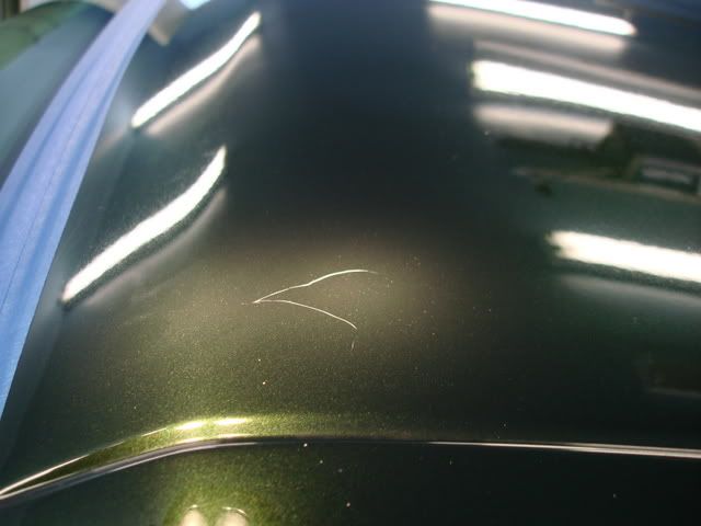 DSC03373.jpg