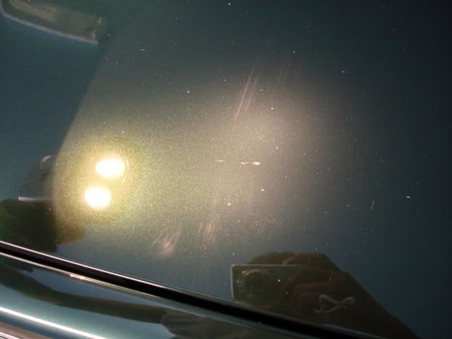 DSC03376.jpg