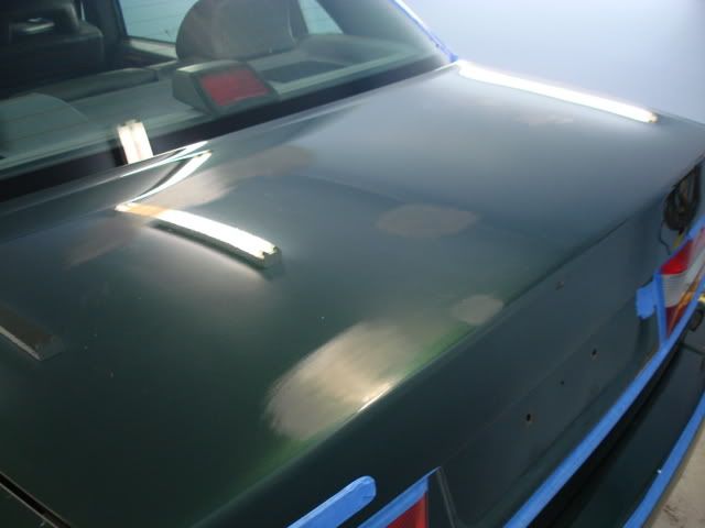 DSC03379.jpg