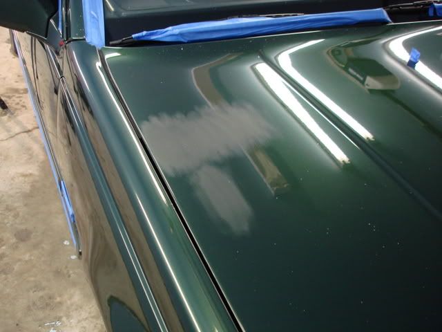 DSC03385.jpg