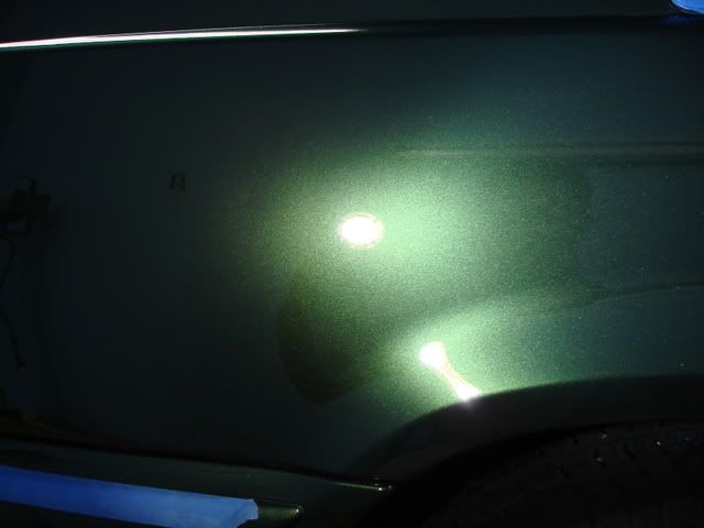 DSC03435.jpg
