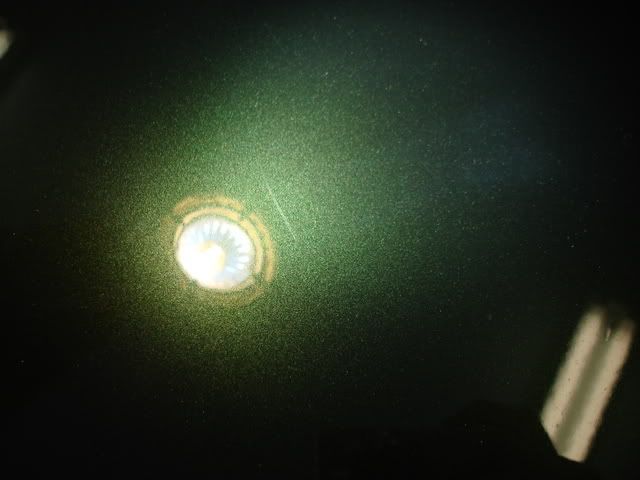 DSC03467.jpg