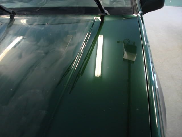 DSC03485-1.jpg