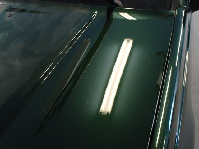 DSC03486.jpg