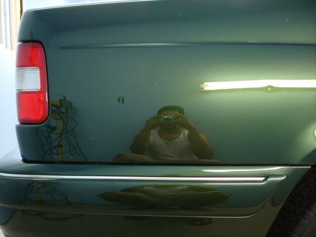DSC03517.jpg