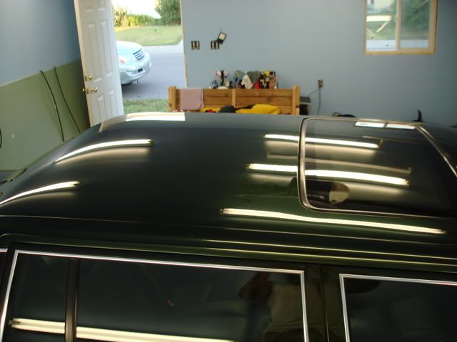 DSC03519.jpg