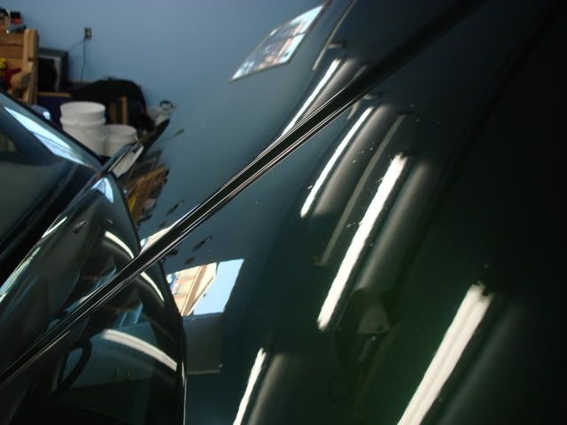 DSC03522.jpg