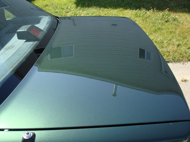 DSC03554.jpg