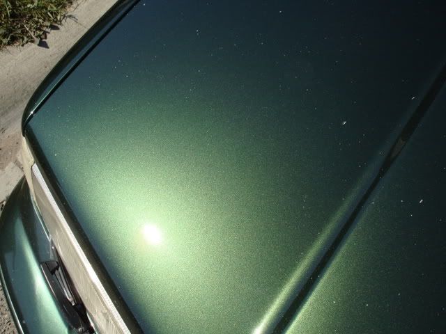 DSC03578.jpg