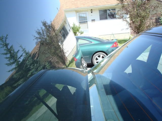 DSC03581.jpg