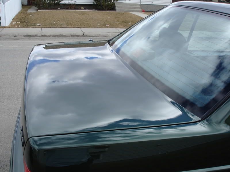 DSC00681.jpg